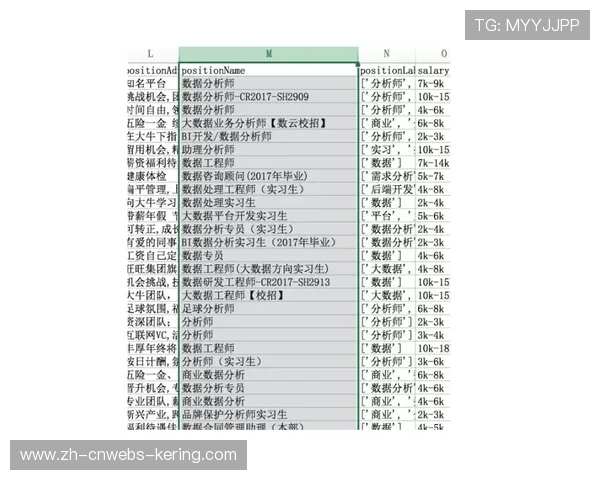 足球数据分析师成为意甲俱乐部新热门招聘岗位